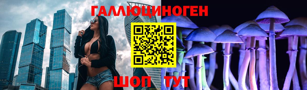Галлюциногенные грибы мицелий  Галлюциногенные грибы прущие грибы  что такое   Вход с VPN  Зеленогорск 