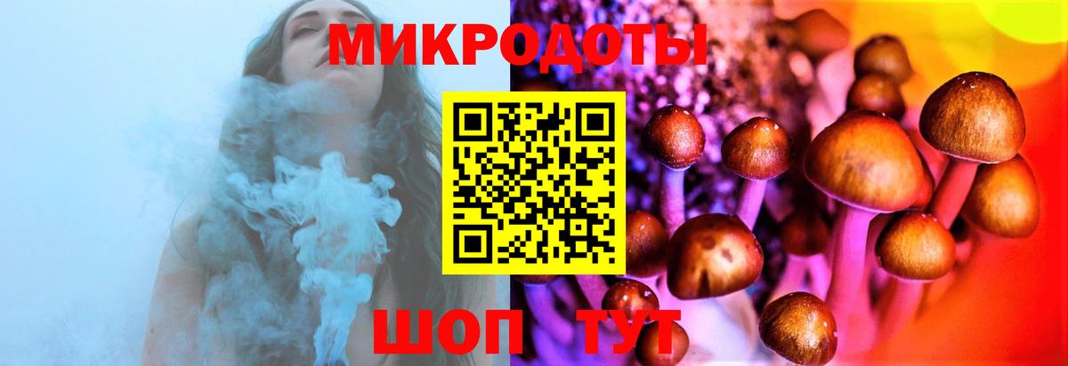 Псилоцибиновые грибы GOLDEN TEACHER Зеленогорск